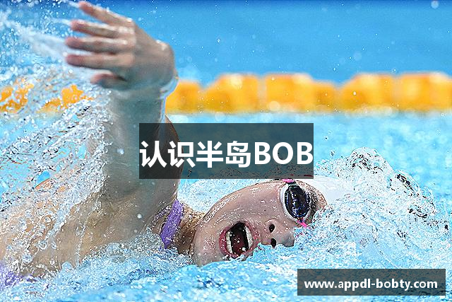 认识半岛BOB